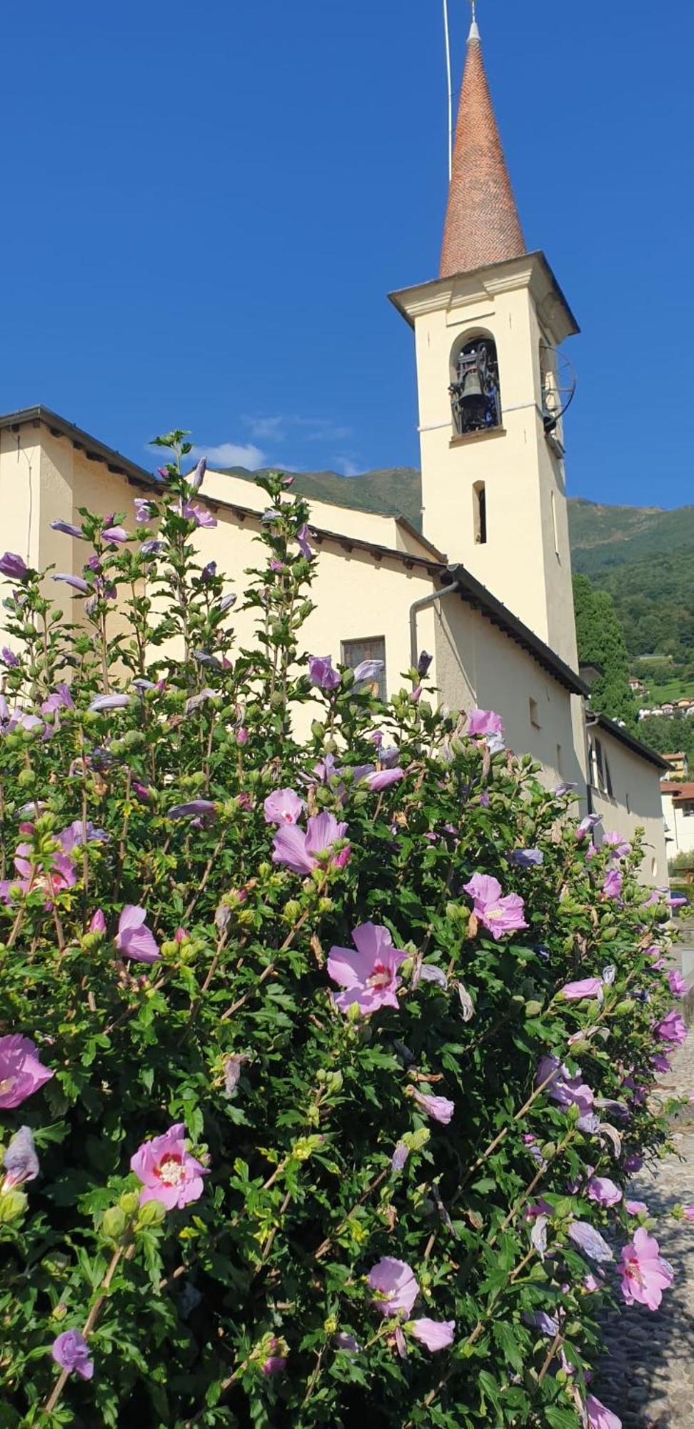 Residence Laguna Beach Pianello Del Lario Eksteriør billede